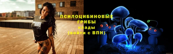 трава Алзамай