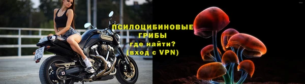 тгк Абинск
