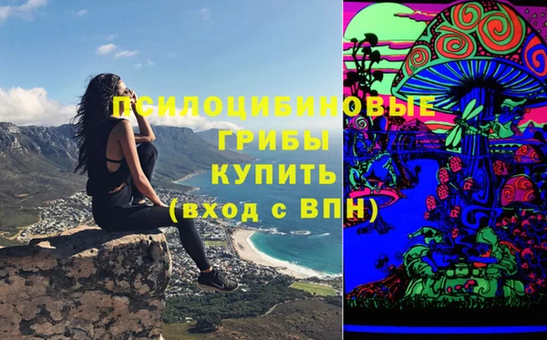 прущий лед Абаза