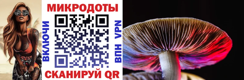 Псилоцибиновые грибы Psilocybe  Анива 